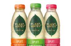 Micronutrient-Infused Water Drinks