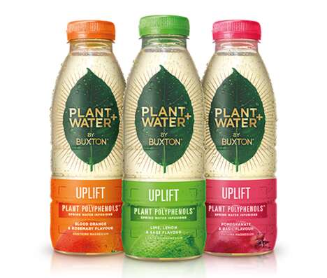 Micronutrient-Infused Water Drinks