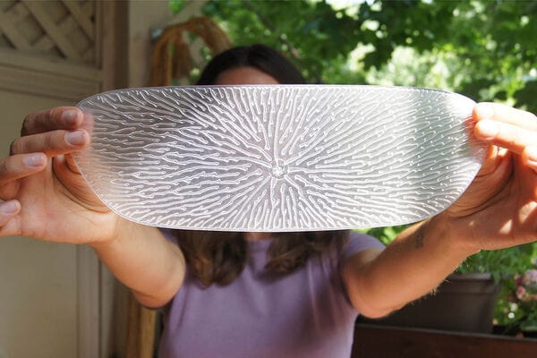 Top 45 Design Trends in August