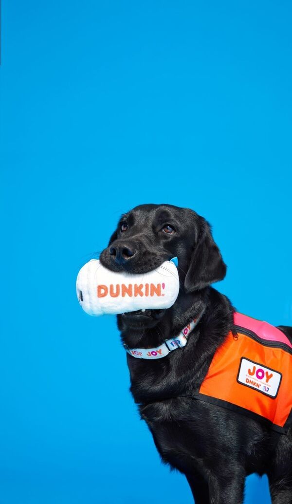 dunkin munchkins dog toy