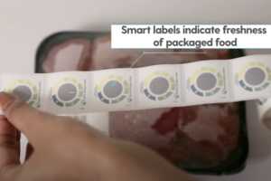 Color-Changing Freshness Indicators