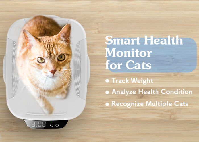 Health-Tracking Feline Scales