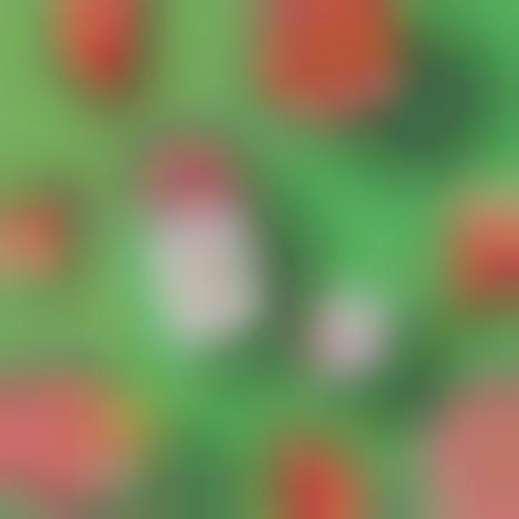 Sugar-Free Hydration Supplements