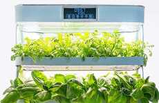 Family-Sized Indoor Gardens