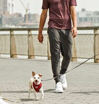 Ethical Activewear Brands Image 6