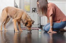 Dog-Friendly Water Enhancers