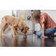 Dog-Friendly Water Enhancers Image 1