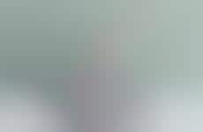 Demure Dual-Sided Pet Bowls