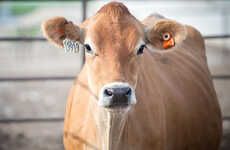 Cow-Targeted Ear Sensors