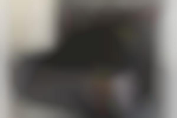 cat radiator bed grey