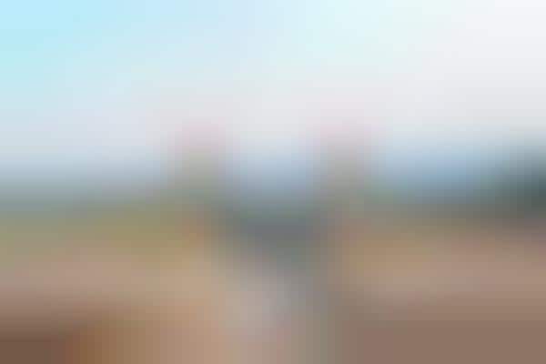 Virtual Wedding Planning Services