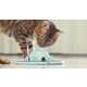 Multi-Sensory Cat Toys Image 1