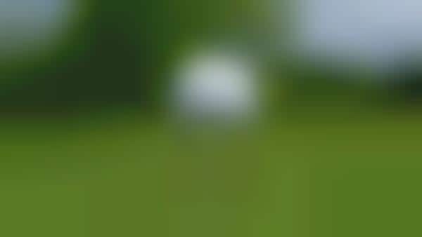Durable Multi-Use Golf Tees
