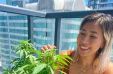 Social Cannabis Enthusiast Accounts