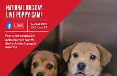 Informative Puppy Adoption Events