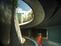 Massive Green Walls Image 5