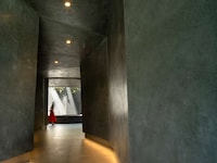 Massive Green Walls Image 6