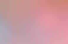 Meme Account-Branded Merch