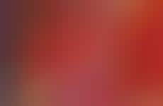 Charitable Technicolor Underwear