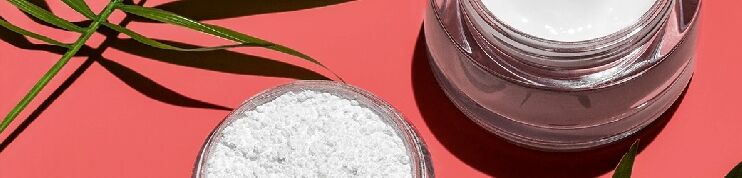 Micronized Biodegradable Polymer Fillers
