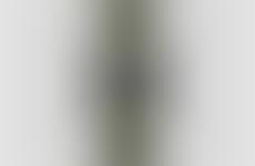 Military-Inspired Field Watches