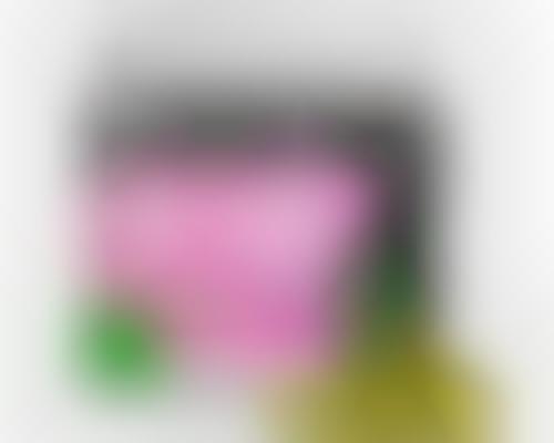 canine joint support