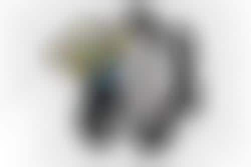 Animated Collaborative Capsules