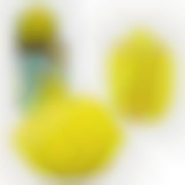 Lemon Brain-Training Bricks