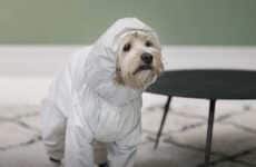 Humorous Wipeable Paint Ads