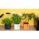 Customizable Indoor Smart Gardens Image 1