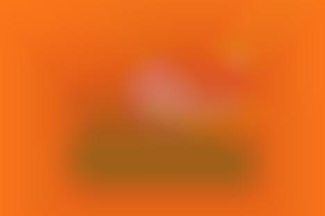 Bright Orange Casual Footwear