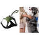 Leash-Equipped Dog Harnesses Image 3