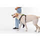Leash-Equipped Dog Harnesses Image 7