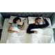 Soothing Anti-Snoring Pillows Image 1