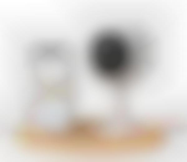 Senior-Monitoring Cameras