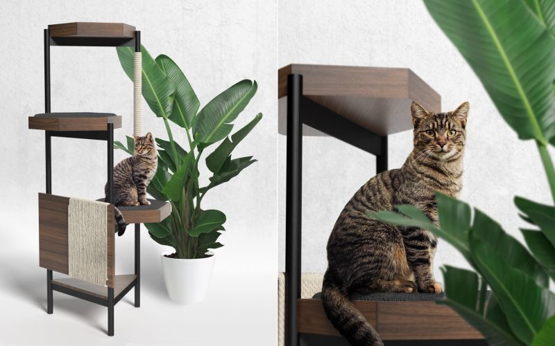 Elegant Feline Relaxation Towers