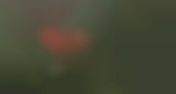 3D Survival RPGs