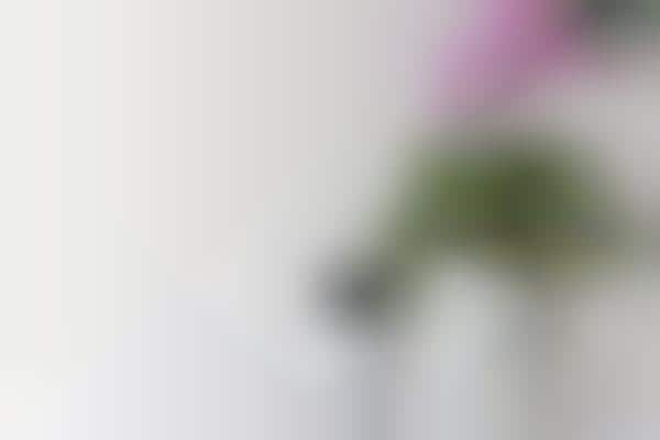 AI Home Security Systems