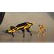 Palm-Sized Robotic Dogs Image 5