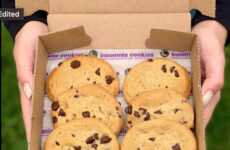 Plant-Based Chocolate Cookies
