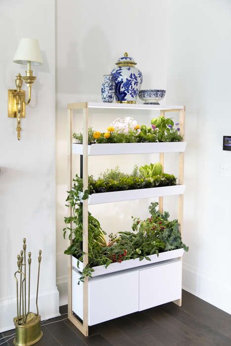 Indoor Smart Garden Systems