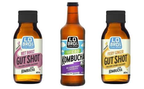 Health-Focused Kombucha Products