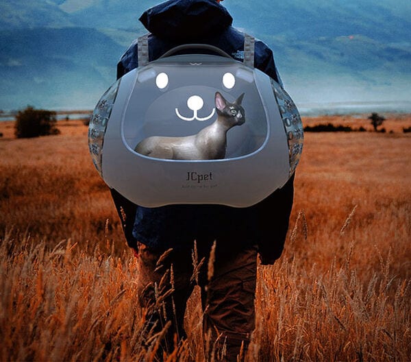 Top 100 Tech Trends in October