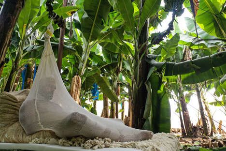 Climate Change Cocoons