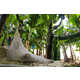 Climate Change Cocoons Image 1