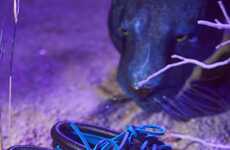 Animal Print Bold Loafers