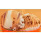 Pumpkin Cheesecake Ice Creams Image 1
