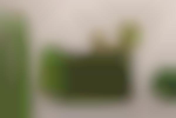 Cactus Bio-Leather Wallets