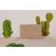 Cactus Bio-Leather Wallets Image 2