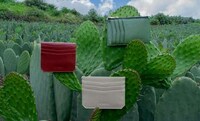 Cactus Bio-Leather Wallets Image 4